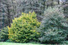 Dateiname=Roland_Herbstlicher_Baum2C_Wald_2C2CWaldrand22.jpg
Dateigröße=1554KB
Abmessungen: 1200x800
hinzugefügt am: 16. Oktober 2024 Roland_Herbstlicher_Baum2C_Wald_2C2CWaldrand22.jpg