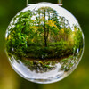 Dateiname=Roland_Herbstlicher_Baum__Wald_In_der_Kugel.jpg
Dateigröße=1087KB
Abmessungen: 1200x1200
hinzugefügt am: 28. Oktober 2024 Roland_Herbstlicher_Baum__Wald_In_der_Kugel.jpg