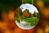Dateiname=Roland_Herbstlicher_Baum__Wald_Walnuss.jpg
Dateigröße=715KB
Abmessungen: 1200x800
hinzugefügt am: 18. Oktober 2024 Roland_Herbstlicher_Baum__Wald_Walnuss.jpg