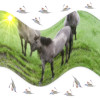 Dateiname=Roland_Surreal_Weide.jpg
Dateigröße=458KB
Abmessungen: 800x800
hinzugefügt am: 17. Februar 2025 Roland_Surreal_Weide.jpg