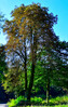 Dateiname=Roland~0.jpg
Dateigröße=1633KB
Abmessungen: 766x1200
hinzugefügt am: 10. Oktober 2024 Roland~0.jpg