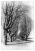 Dateiname=S-W_Allee_Marianne_1.jpg
Dateigröße=2673KB
Abmessungen: 1566x2300
hinzugefügt am: 05. Februar 2024 S-W_Allee_Marianne_1.jpg
