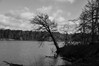 Dateiname=S-W_Ufer_Roland.jpg
Dateigröße=387KB
Abmessungen: 1200x800
hinzugefügt am: 04. Februar 2024 S-W_Ufer_Roland.jpg