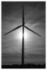 Dateiname=S-W_Windrad_im_Gegenlicht_Marianne.jpg
Dateigröße=345KB
Abmessungen: 816x1200
hinzugefügt am: 14. Februar 2024 S-W_Windrad_im_Gegenlicht_Marianne.jpg