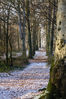 Dateiname=Schnee_in_Liedberg_022.jpg
Dateigröße=318KB
Abmessungen: 567x850
hinzugefügt am: 19. Dezember 2009 Schnee_in_Liedberg_022.jpg
