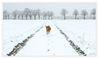 Dateiname=Schneefall_01.jpg
Dateigröße=438KB
Abmessungen: 1024x608
hinzugefügt am: 07. März 2016 Schneefall_01.jpg