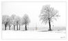 Dateiname=Schneefall_06.jpg
Dateigröße=348KB
Abmessungen: 1024x609
hinzugefügt am: 07. März 2016 Schneefall_06.jpg