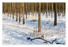 Dateiname=Schneelandschaft_04.jpg
Dateigröße=1038KB
Abmessungen: 1200x829
hinzugefügt am: 12. Februar 2021 Schneelandschaft_04.jpg