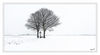 Dateiname=Schneelandschaft_Baum_01_Kopie.jpg
Dateigröße=279KB
Abmessungen: 1024x565
hinzugefügt am: 22. Januar 2013 Schneelandschaft_Baum_01_Kopie.jpg