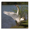 Dateiname=Schwan_01_q_.jpg
Dateigröße=456KB
Abmessungen: 850x850
hinzugefügt am: 07. Juli 2011 Schwan_01_q_.jpg
