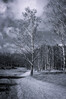 Dateiname=Schwarz_-_Weiss_2C2CBirke22_Roland.jpg
Dateigröße=892KB
Abmessungen: 800x1200
hinzugefügt am: 06. Februar 2024 Schwarz_-_Weiss_2C2CBirke22_Roland.jpg