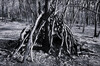 Dateiname=Schwarz_-_Weiss_2C2CTarnzelt22_Perla.jpg
Dateigröße=991KB
Abmessungen: 1200x795
hinzugefügt am: 06. Februar 2024 Schwarz_-_Weiss_2C2CTarnzelt22_Perla.jpg