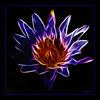 Dateiname=Seerose_in_Thailand_F_035.jpg
Dateigröße=393KB
Abmessungen: 850x850
hinzugefügt am: 04. Juli 2012 Seerose_in_Thailand_F_035.jpg