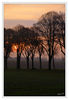 Dateiname=Sonnenaufgang_im_November_012_m_R.jpg
Dateigröße=472KB
Abmessungen: 588x850
hinzugefügt am: 20. November 2011 Sonnenaufgang_im_November_012_m_R.jpg