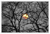 Dateiname=Sonnenlicht.jpg
Dateigröße=399KB
Abmessungen: 850x582
hinzugefügt am: 20. Oktober 2013 Sonnenlicht.jpg