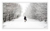Dateiname=Spaziergaenger_im_Schnee_01_Kopie_m_R.jpg
Dateigröße=413KB
Abmessungen: 850x541
hinzugefügt am: 22. Januar 2013 Spaziergaenger_im_Schnee_01_Kopie_m_R.jpg