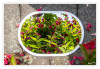 Dateiname=Spiegelung_Blumen_01.jpg
Dateigröße=900KB
Abmessungen: 1200x831
hinzugefügt am: 27. Mai 2026 Spiegelung_Blumen_01.jpg