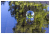 Dateiname=Spiegelung_In_einer_Wasserpfuetze_04.jpg
Dateigröße=832KB
Abmessungen: 1200x816
hinzugefügt am: 24. Mai 2021 Spiegelung_In_einer_Wasserpfuetze_04.jpg