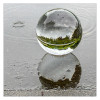 Dateiname=Spiegelung_Marianne_Pfuetzenfoto_02_q.jpg
Dateigröße=963KB
Abmessungen: 1200x1200
hinzugefügt am: 19. Mai 2026 Spiegelung_Marianne_Pfuetzenfoto_02_q.jpg