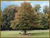 Dateiname=Stolzer_Kastanienbaum_mit_dezenter_Rostfarbe_k-jpg.jpg
Dateigröße=1394KB
Abmessungen: 1200x906
hinzugefügt am: 02. Oktober 2024 Stolzer_Kastanienbaum_mit_dezenter_Rostfarbe_k-jpg.jpg
