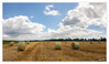 Dateiname=Strohballen_Pano_01.jpg
Dateigröße=1165KB
Abmessungen: 1600x934
hinzugefügt am: 30. Juli 2021 Strohballen_Pano_01.jpg