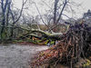 Dateiname=Sturm.jpg
Dateigröße=730KB
Abmessungen: 850x640
hinzugefügt am: 22. Januar 2018 Sturm.jpg