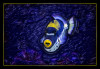 Dateiname=Surreal_Fisch_k__01.jpg
Dateigröße=720KB
Abmessungen: 1200x831
hinzugefügt am: 04. Februar 2025 Surreal_Fisch_k__01.jpg