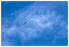 Dateiname=Teleaufnahmen_Flugzeug_01_01.jpg
Dateigröße=868KB
Abmessungen: 1200x813
hinzugefügt am: 01. August 2023 Teleaufnahmen_Flugzeug_01_01.jpg