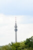 Dateiname=Teleaufnahmen_Roland.JPG
Dateigröße=529KB
Abmessungen: 800x1200
hinzugefügt am: 13. August 2023 Teleaufnahmen_Roland.JPG