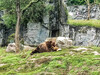 Dateiname=Tiere_Manni_dbd74941-b6e0-4950-8055-da8aa347cf77.jpg
Dateigröße=1139KB
Abmessungen: 1200x900
hinzugefügt am: 21. September 2022 Tiere_Manni_dbd74941-b6e0-4950-8055-da8aa347cf77.jpg