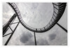 Dateiname=Tiger_and_Turtle_11.jpg
Dateigröße=553KB
Abmessungen: 1200x829
hinzugefügt am: 26. Juli 2021 Tiger_and_Turtle_11.jpg