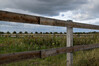 Dateiname=Verena_Leber_Blick_durch_den_Zaun.jpg
Dateigröße=201KB
Abmessungen: 1200x800
hinzugefügt am: 07. Oktober 2022 Verena_Leber_Blick_durch_den_Zaun.jpg