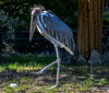 Dateiname=Verena_Leber_Maribu_Zoo_Duisburg.jpg
Dateigröße=302KB
Abmessungen: 1200x1025
hinzugefügt am: 24. September 2022 Verena_Leber_Maribu_Zoo_Duisburg.jpg