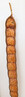 Dateiname=Verena_Leber_Orientalisches_Rhythmusinstrument.jpg
Dateigröße=405KB
Abmessungen: 309x1200
hinzugefügt am: 30. April 2024 Verena_Leber_Orientalisches_Rhythmusinstrument.jpg