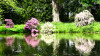 Dateiname=Verena_Leber_Rhododendren.jpg
Dateigröße=1430KB
Abmessungen: 1200x676
hinzugefügt am: 16. Mai 2026 Verena_Leber_Rhododendren.jpg