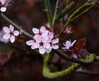 Dateiname=Verena_Leber_Rosa_Bluete.jpg
Dateigröße=131KB
Abmessungen: 1200x983
hinzugefügt am: 14. April 2023 Verena_Leber_Rosa_Bluete.jpg