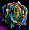 Dateiname=Verena_Leber_Rose.jpg
Dateigröße=1407KB
Abmessungen: 1164x1200
hinzugefügt am: 07. Februar 2025 Verena_Leber_Rose.jpg