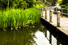 Dateiname=Verena_Leber_Steg_ueber_den_Stadtparksee.jpg
Dateigröße=301KB
Abmessungen: 1200x796
hinzugefügt am: 12. Juni 2022 Verena_Leber_Steg_ueber_den_Stadtparksee.jpg