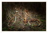 Dateiname=Vergaenglichkeit_Fahrrad_k_01.jpg
Dateigröße=920KB
Abmessungen: 1024x710
hinzugefügt am: 31. Januar 2020 Vergaenglichkeit_Fahrrad_k_01.jpg