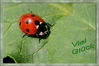 Dateiname=Viel_Glück.jpg
Dateigröße=211KB
Abmessungen: 850x568
hinzugefügt am: 18. März 2007 Viel_Glück.jpg