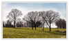 Dateiname=W_Landschaft_03_Ausschnitt.jpg
Dateigröße=514KB
Abmessungen: 850x512
hinzugefügt am: 03. Januar 2014 W_Landschaft_03_Ausschnitt.jpg