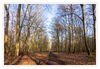Dateiname=Waldsparziergang_Gohr_0.jpg
Dateigröße=844KB
Abmessungen: 1024x710
hinzugefügt am: 27. Januar 2020 Waldsparziergang_Gohr_0.jpg