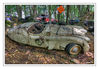 Dateiname=Weiss_03_Jaguar.jpg
Dateigröße=657KB
Abmessungen: 850x594
hinzugefügt am: 11. Dezember 2012 Weiss_03_Jaguar.jpg