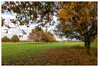 Dateiname=Weitwinkel_Landschaft.jpg
Dateigröße=1707KB
Abmessungen: 1200x812
hinzugefügt am: 06. November 2021 Weitwinkel_Landschaft.jpg