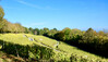 Dateiname=Weitwinkel_Lohrberg.jpeg
Dateigröße=904KB
Abmessungen: 1200x693
hinzugefügt am: 03. November 2021 Weitwinkel_Lohrberg.jpeg