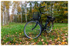 Dateiname=Weitwinkel_Mein_Fahrrad.jpg
Dateigröße=1072KB
Abmessungen: 1200x812
hinzugefügt am: 17. November 2021 Weitwinkel_Mein_Fahrrad.jpg