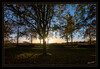 Dateiname=Weitwinkel_Morgens_an_der_Strasse_07.jpg
Dateigröße=1409KB
Abmessungen: 1200x832
hinzugefügt am: 05. November 2021 Weitwinkel_Morgens_an_der_Strasse_07.jpg