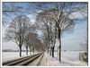 Dateiname=Winter_in_Grefrath_0100_Kopie.jpg
Dateigröße=452KB
Abmessungen: 850x648
hinzugefügt am: 21. Dezember 2010 Winter_in_Grefrath_0100_Kopie.jpg