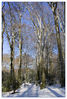 Dateiname=Winterfarben_03.jpg
Dateigröße=413KB
Abmessungen: 600x883
hinzugefügt am: 08. März 2010 Winterfarben_03.jpg