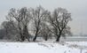 Dateiname=Winterfeeling_03.jpg
Dateigröße=258KB
Abmessungen: 850x518
hinzugefügt am: 09. Januar 2009 Winterfeeling_03.jpg
